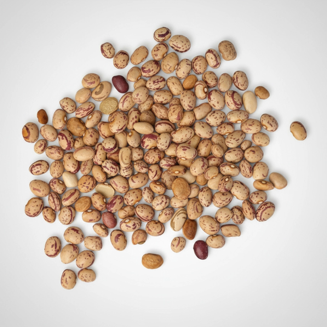 خرید لوبیا چیتی