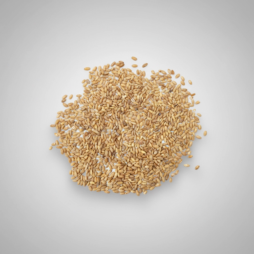 خرید جو پوست کنده هانا - برند معتبر